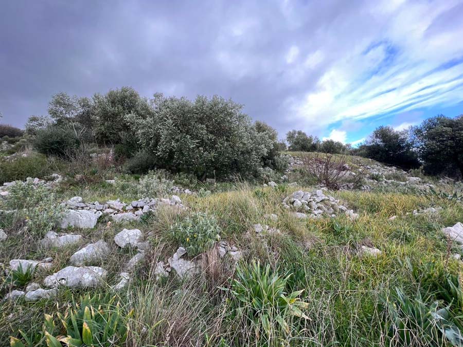 Listing photograph 3 of 6 of the land in Kentroma, published by Chase Real Estate Corfu.