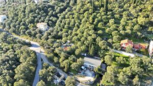 57390 spartilas 1000m2 plot (1)