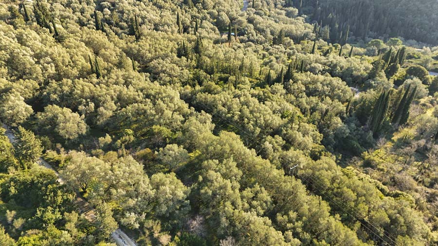 Listing photograph 8 of 13 of the land in Spartilas, published by Chase Real Estate Corfu.