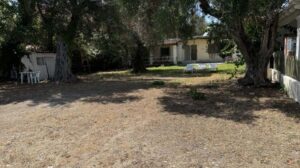 Beachfront Apartment Complex with Bar for Sale near Kavos, South Corfu (1)