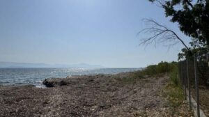 Beachfront Apartment Complex with Bar for Sale near Kavos, South Corfu (30)