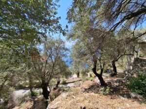 Buildable Plot with Sea Views for Sale in Agni, North East Corfu (6)
