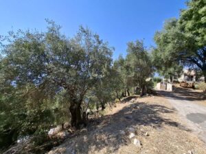 Buildable Plot with Sea Views for Sale in Agni, North East Corfu (7)