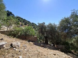 Buildable Plot with Sea Views for Sale in Agni, North East Corfu (8)