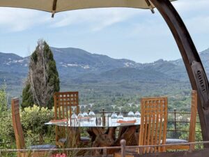 Café Restaurant Archontiko for Sale in Chlomatiana, South Corfu (40)