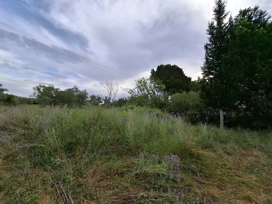 Listing photograph 13 of 24 of the land in Lefkimmi, published by Chase Real Estate Corfu.