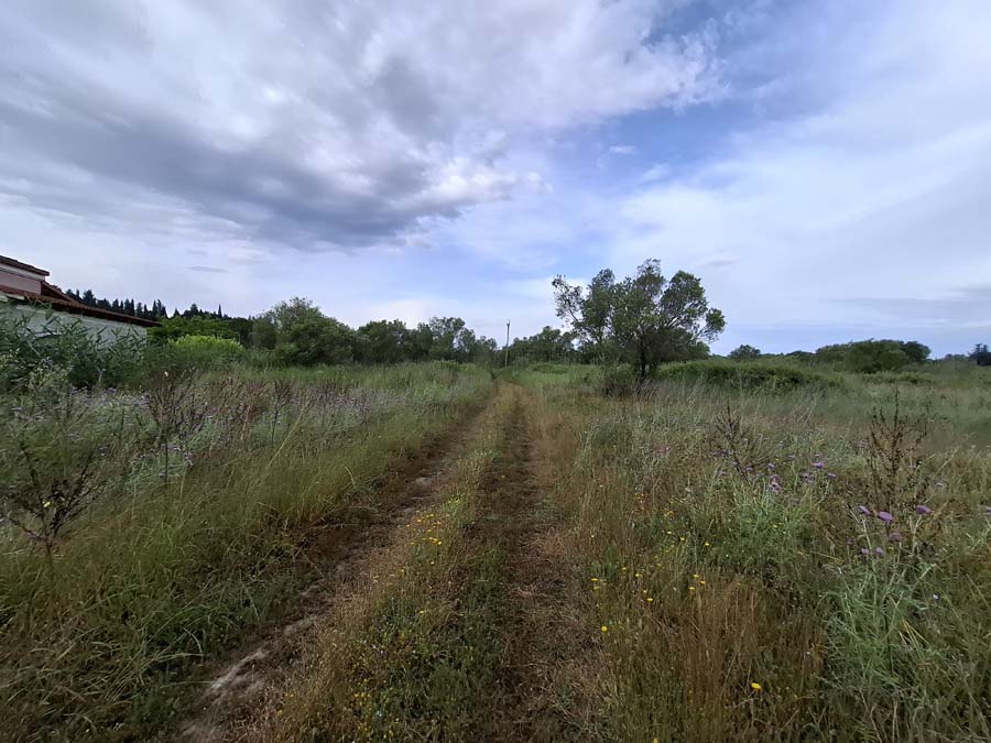 Listing photograph 15 of 24 of the land in Lefkimmi, published by Chase Real Estate Corfu.