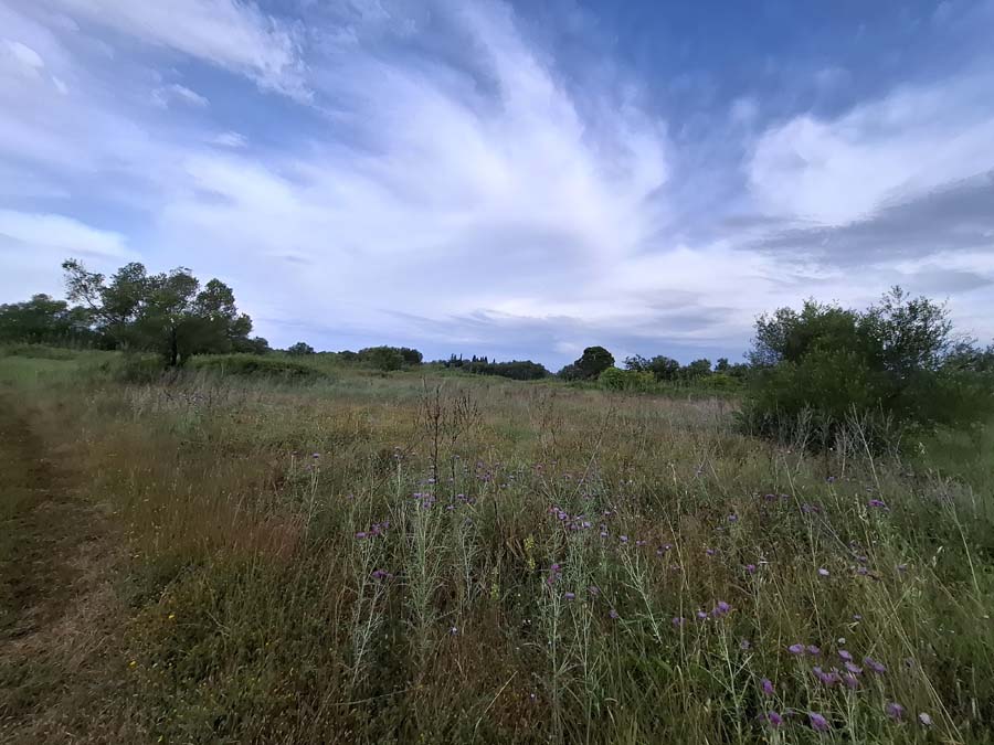 Listing photograph 18 of 24 of the land in Lefkimmi, published by Chase Real Estate Corfu.