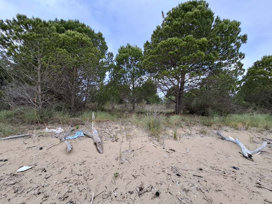 Listing photograph 3 of 24 of the land in Lefkimmi, published by Chase Real Estate Corfu.