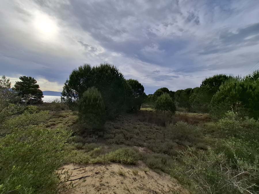 Listing photograph 21 of 24 of the land in Lefkimmi, published by Chase Real Estate Corfu.