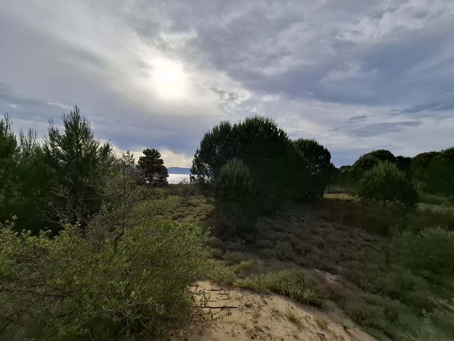 Listing photograph 23 of 24 of the land in Lefkimmi, published by Chase Real Estate Corfu.