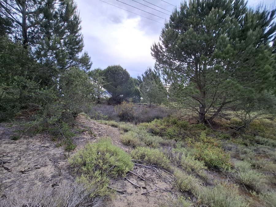 Listing photograph 24 of 24 of the land in Lefkimmi, published by Chase Real Estate Corfu.