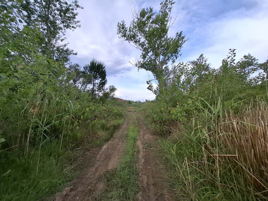 Listing photograph 5 of 24 of the land in Lefkimmi, published by Chase Real Estate Corfu.