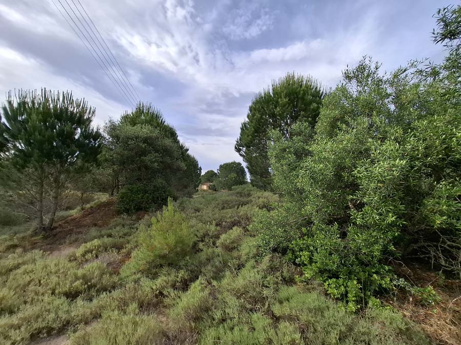 Listing photograph 6 of 24 of the land in Lefkimmi, published by Chase Real Estate Corfu.