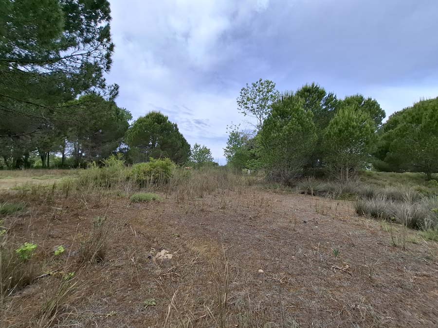 Listing photograph 8 of 24 of the land in Lefkimmi, published by Chase Real Estate Corfu.