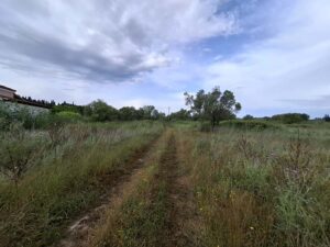 Development Plot for Sale in Melikia, Lefkimi – Ideal for Tourism Projects (14)