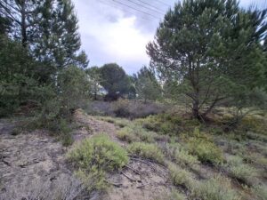 Development Plot for Sale in Melikia, Lefkimi – Ideal for Tourism Projects (24)