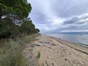 Development Plot for Sale in Melikia, Lefkimi – Ideal for Tourism Projects (9)
