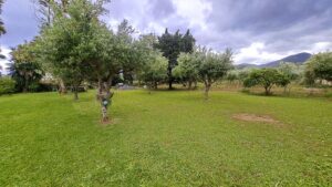 Driftwood Beach House Beachfront Five Bedroom Property for Sale near Acharavi, North Corfu (34)
