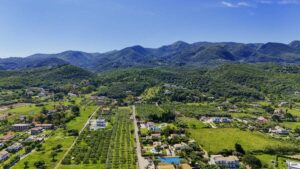 Driftwood Beach House Beachfront Five Bedroom Property for Sale near Acharavi, North Corfu (43)