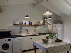Driftwood Beach House Beachfront Five Bedroom Property for Sale near Acharavi, North Corfu (56)