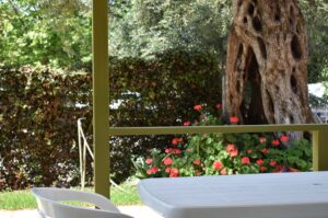 Eight Apartment Complex for Sale in Ipsos, North East Corfu (1)