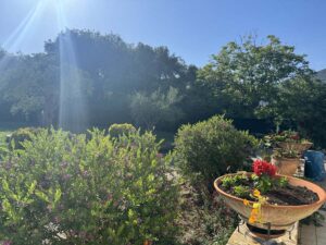 Four Bedroom Detached House with Large Garage and Landscaped Garden for Sale near Ipsos, North East Corfu (4)