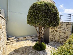 Four Bedroom Villa with Guest Cottage and Pool for Sale in North East Corfu (8)