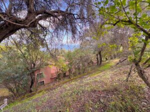 Four Sea View Houses for Sale in Kontokali, Corfu Investment Estate 3 (2)