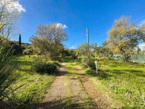 Renovated Three Bedroom Detached House for Sale in Agios Ioannis, Corfu (45)