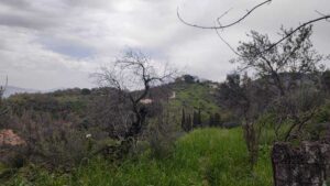 Renovation Project with Sea and Mountain Views for Sale in Loutses, North Corfu (34)