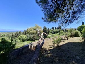 Restored 16th Century Manor House with 11,270m² Plot for Sale in Kavalouri, North Corfu (11)