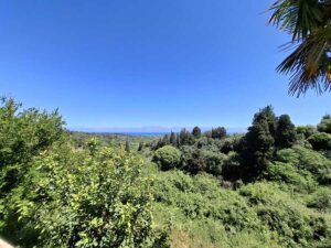 Restored 16th Century Manor House with 11,270m² Plot for Sale in Kavalouri, North Corfu (66)