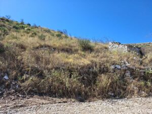 Sea View Plot for Sale in Megoulas, Sinies, North Corfu – 10,000m² (3)