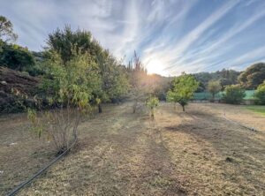 Six Bedroom Villa with Large Pool for Sale in Kobitsi, North Corfu (16)