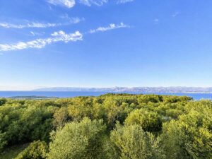 Three Bedroom Sea View Villa for Sale in Loutses, North East Corfu (40)