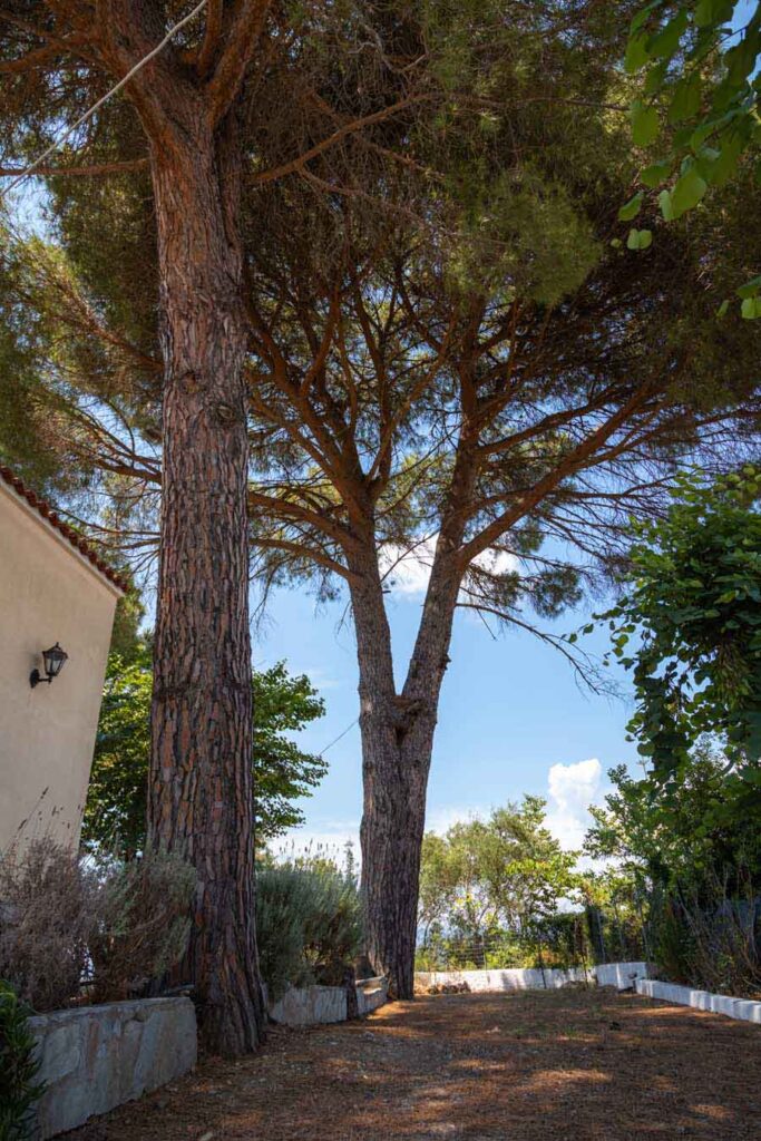 Three Bedroom Villa with Guest Apartment for Sale in Kompitsi, Corfu Town (3)
