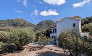 Three Bedroom Villa with Olive Grove and Mountain Views for Sale near Acharavi, North Corfu (40)