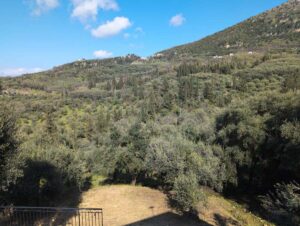Three Bedroom Villa with Olive Grove and Mountain Views for Sale near Acharavi, North Corfu (44)