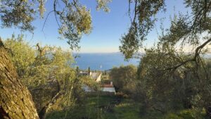 Three Buildable Plots with Panoramic Views for Sale in Spartilas, North Corfu (10)