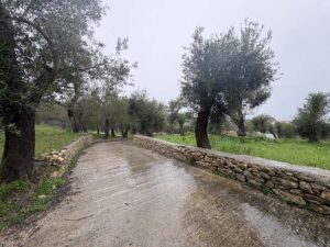 Two Bedroom Holiday Villa with Private Pool for Sale near Loggos, Paxos (2)