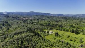 Two Bedroom Home with Garden and Open Views for Sale in Platonas, Roda, North Corfu (55)