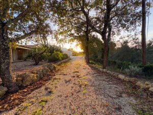 Two Bedroom Semi Detached Villa with Private Pool for Sale in Gastouri, Corfu (2)
