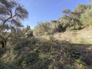 Unfinished Villa with 464m² Development Potential and Sea Views for Sale in Viglatouri, Corfu (48)