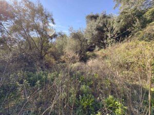 Unfinished Villa with 464m² Development Potential and Sea Views for Sale in Viglatouri, Corfu (5)