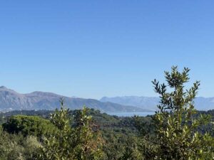 3,099m² Plot with Permit for Two Villas and 270 Degree Views for Sale in Achilleion, Corfu (14)