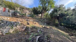 44805 Viglatouri Plot (2)