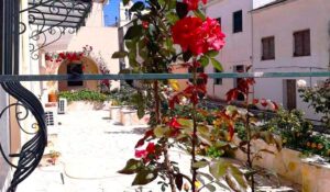 Beautiful property in Leftkimmi Village (2)
