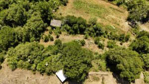 DJI 20260617133532 0245 D