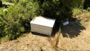 DJI 20260617133615 0248 D